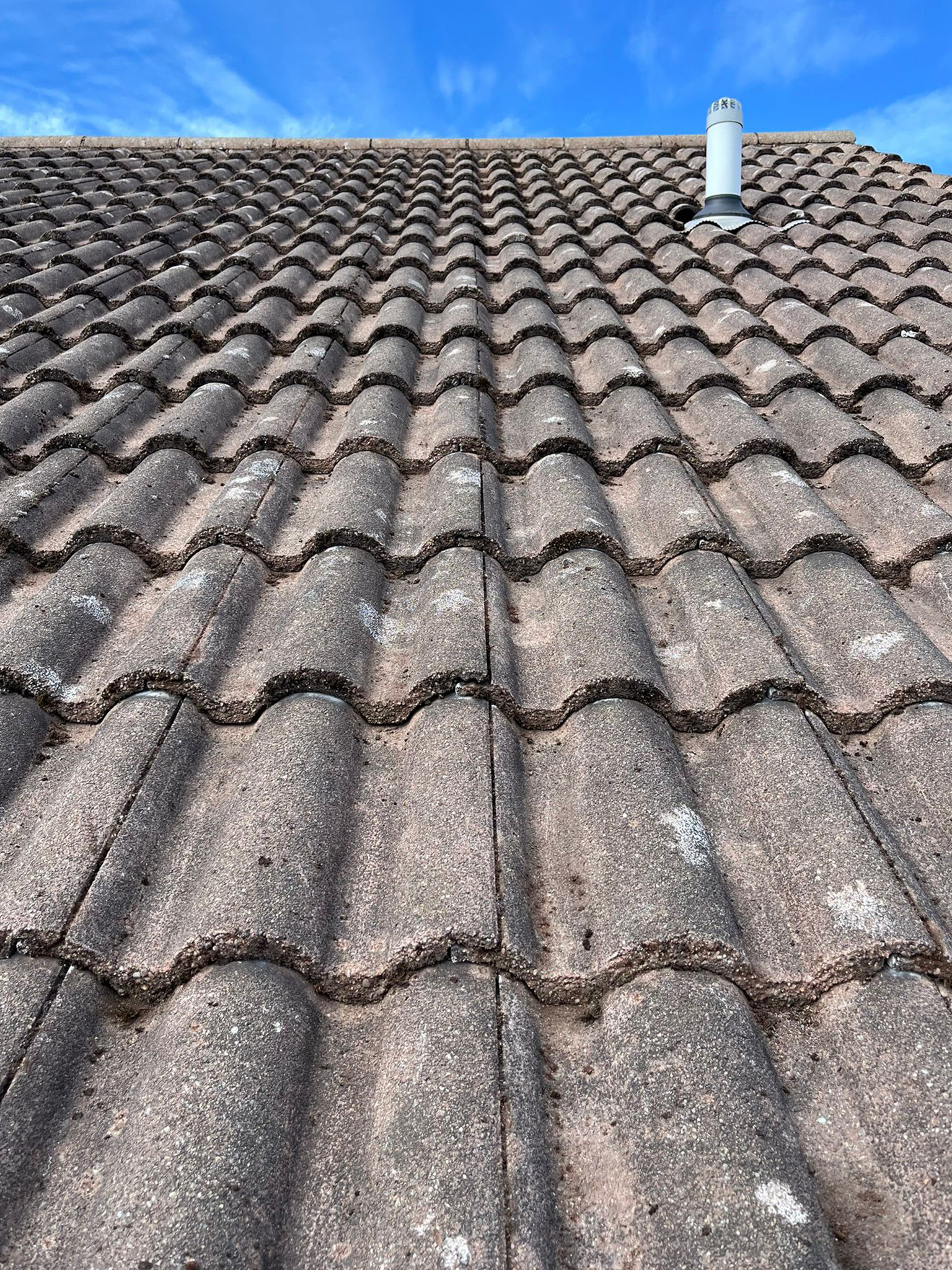 tiles-after